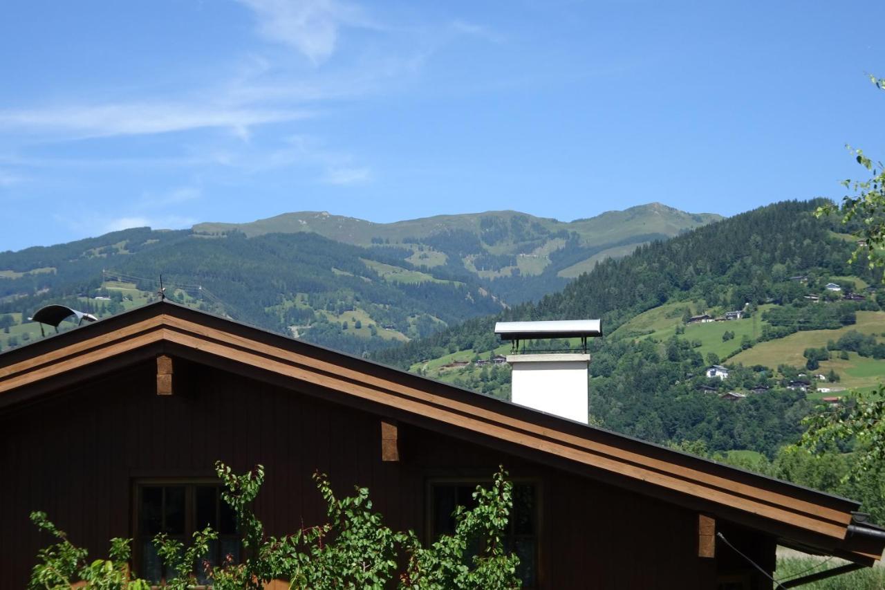 Appartement Am Schilf XL Zell am See Exterior foto